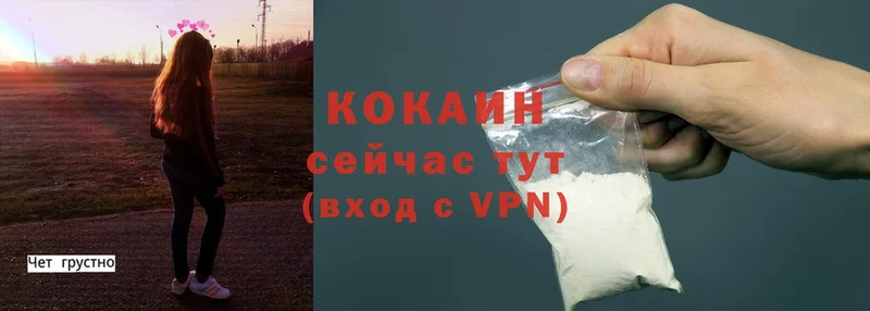 Виды наркотиков купить Кудымкар Канабис  A PVP  Мефедрон  MDMA  COCAIN 